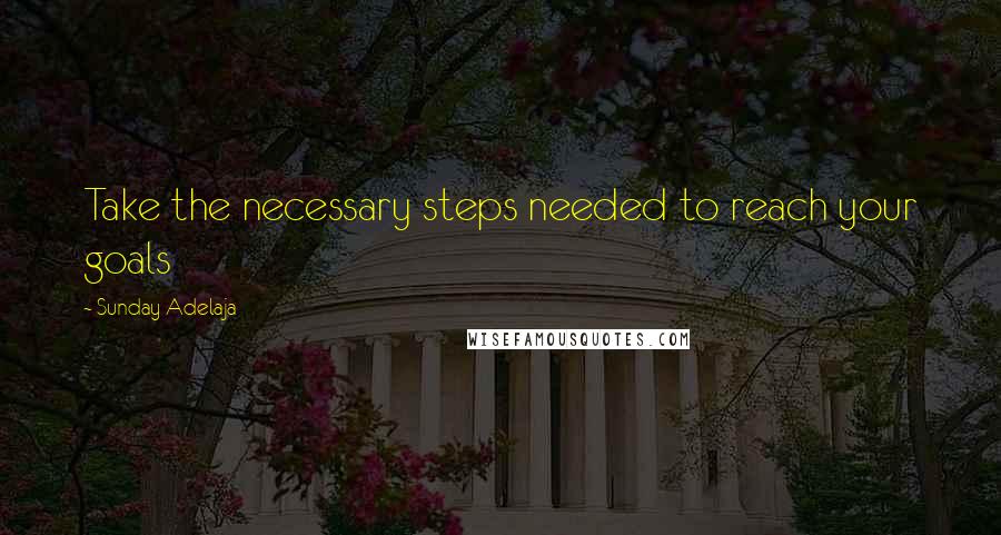 Sunday Adelaja Quotes: Take the necessary steps needed to reach your goals