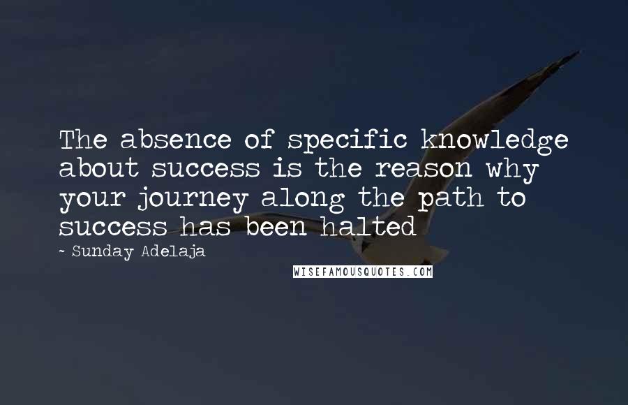 Sunday Adelaja Quotes: The absence of specific knowledge about success is the reason why your journey along the path to success has been halted