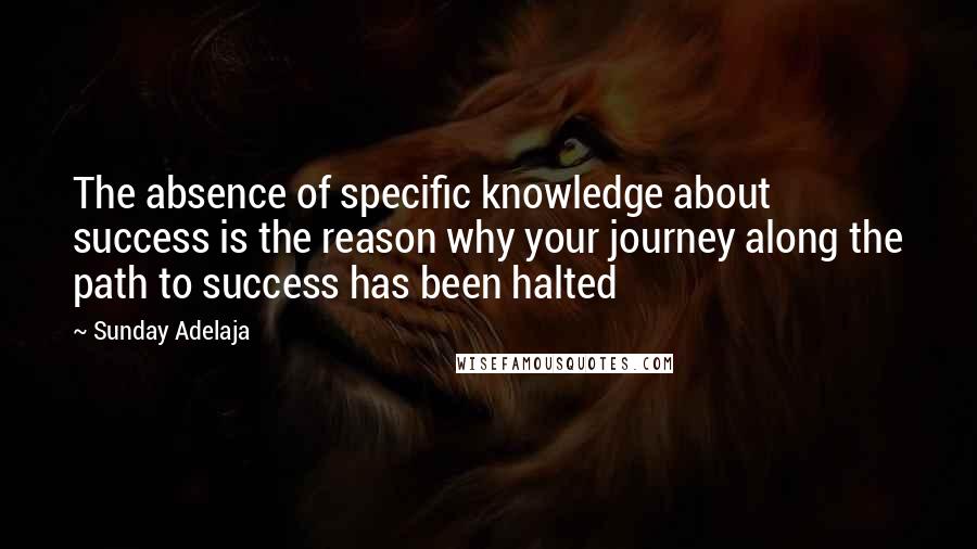 Sunday Adelaja Quotes: The absence of specific knowledge about success is the reason why your journey along the path to success has been halted