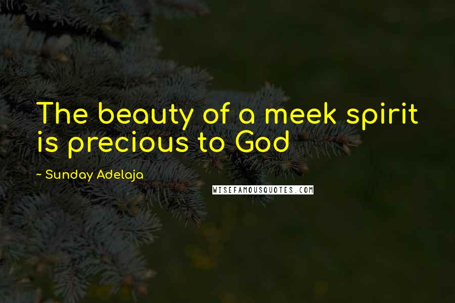 Sunday Adelaja Quotes: The beauty of a meek spirit is precious to God