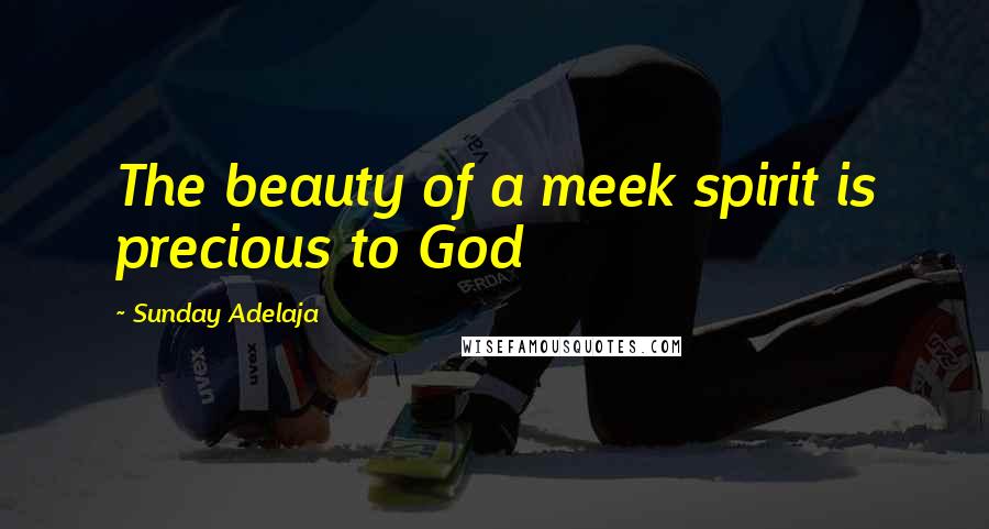 Sunday Adelaja Quotes: The beauty of a meek spirit is precious to God