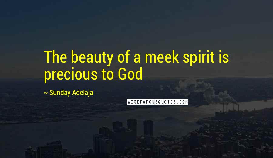 Sunday Adelaja Quotes: The beauty of a meek spirit is precious to God