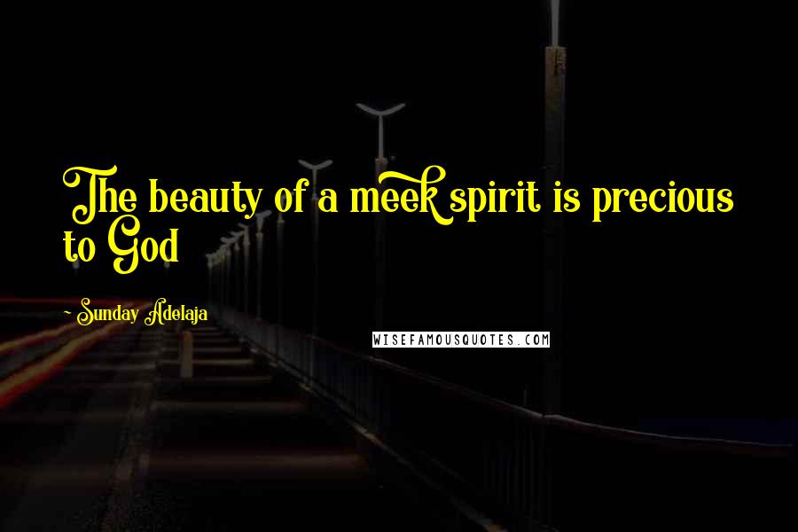 Sunday Adelaja Quotes: The beauty of a meek spirit is precious to God