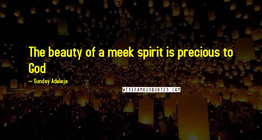 Sunday Adelaja Quotes: The beauty of a meek spirit is precious to God