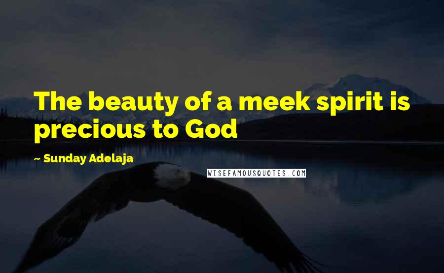 Sunday Adelaja Quotes: The beauty of a meek spirit is precious to God