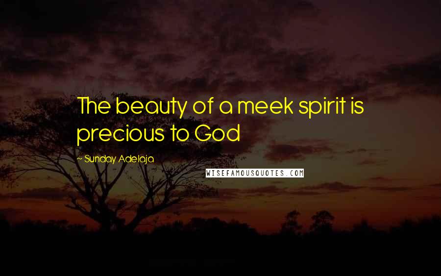 Sunday Adelaja Quotes: The beauty of a meek spirit is precious to God