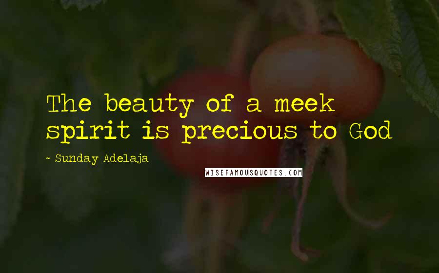 Sunday Adelaja Quotes: The beauty of a meek spirit is precious to God