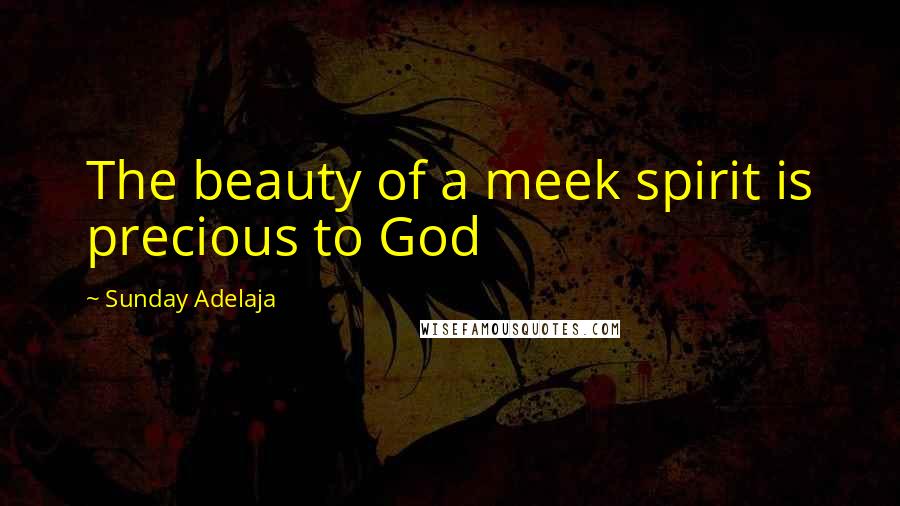 Sunday Adelaja Quotes: The beauty of a meek spirit is precious to God