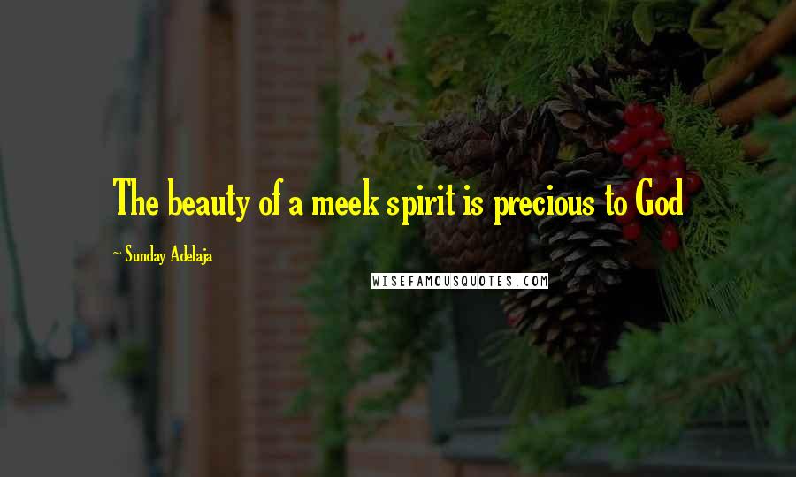 Sunday Adelaja Quotes: The beauty of a meek spirit is precious to God