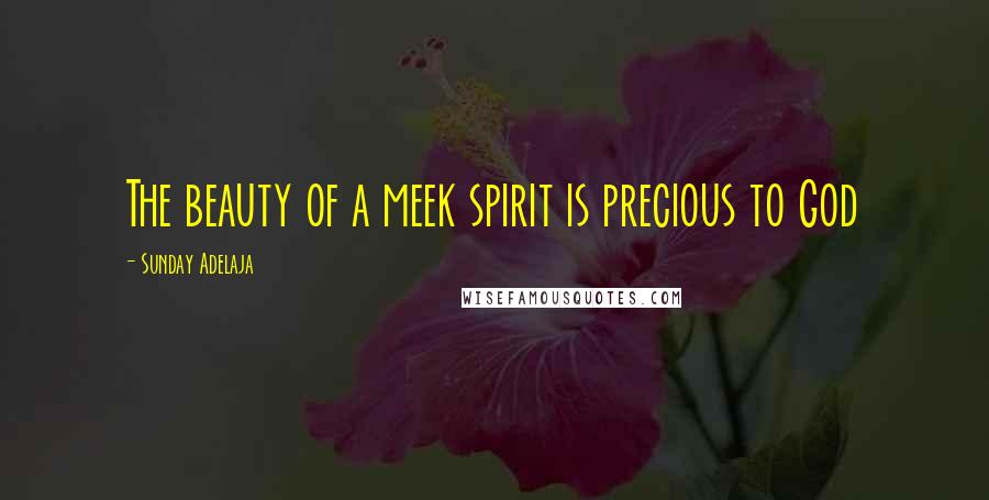 Sunday Adelaja Quotes: The beauty of a meek spirit is precious to God