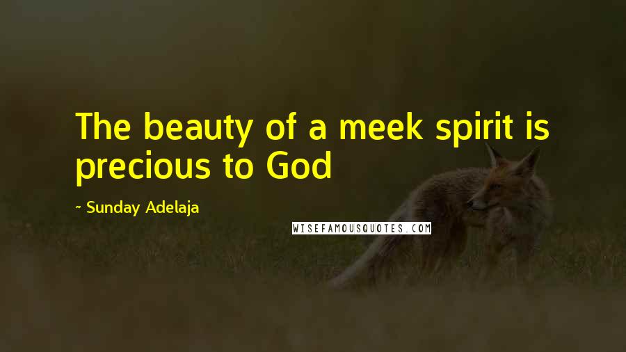 Sunday Adelaja Quotes: The beauty of a meek spirit is precious to God