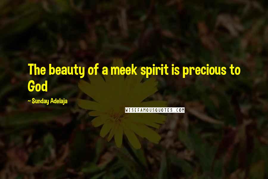 Sunday Adelaja Quotes: The beauty of a meek spirit is precious to God