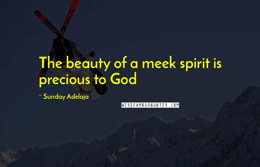 Sunday Adelaja Quotes: The beauty of a meek spirit is precious to God