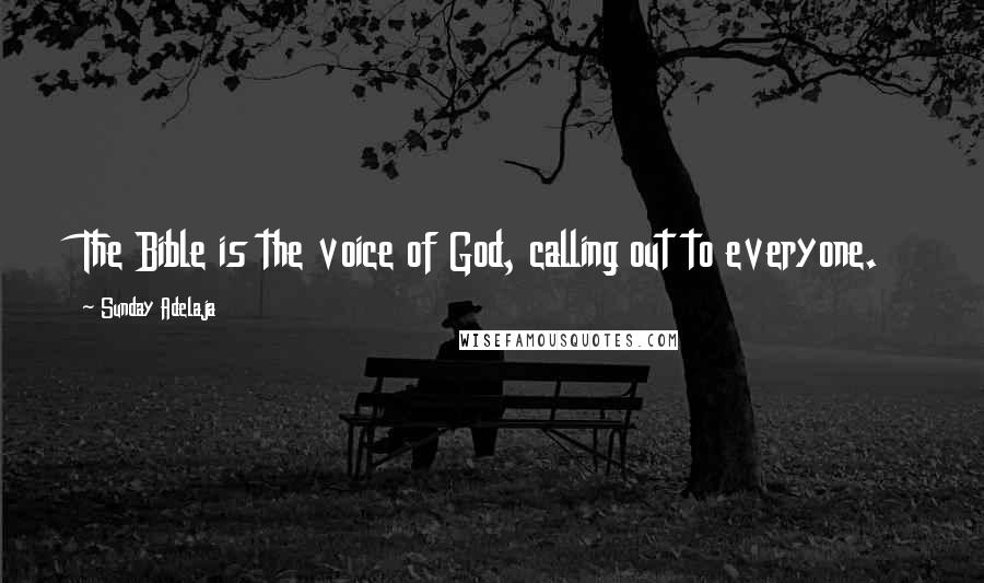 Sunday Adelaja Quotes: The Bible is the voice of God, calling out to everyone.
