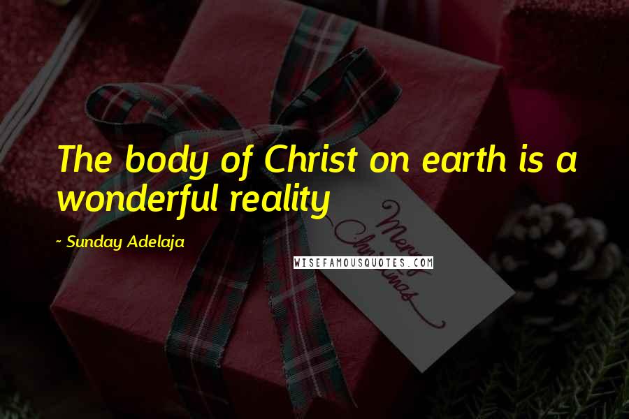 Sunday Adelaja Quotes: The body of Christ on earth is a wonderful reality