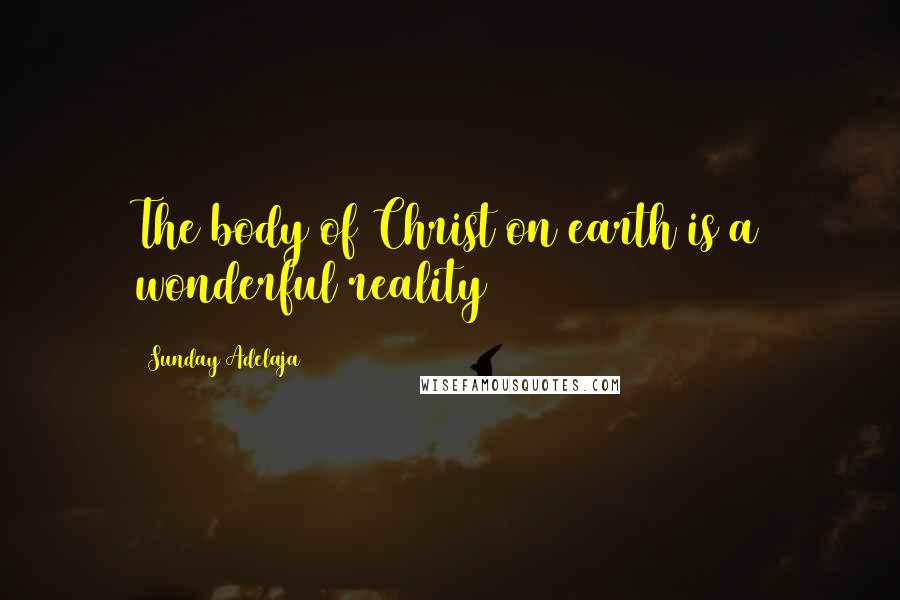 Sunday Adelaja Quotes: The body of Christ on earth is a wonderful reality