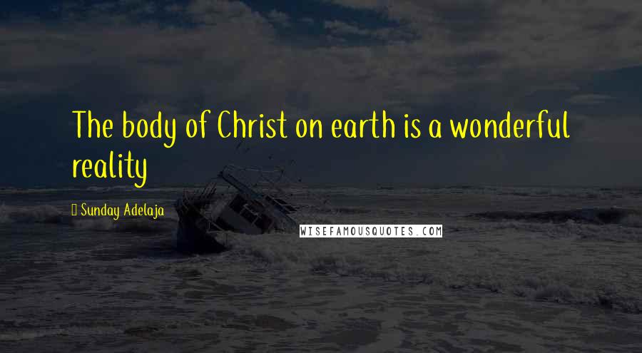 Sunday Adelaja Quotes: The body of Christ on earth is a wonderful reality