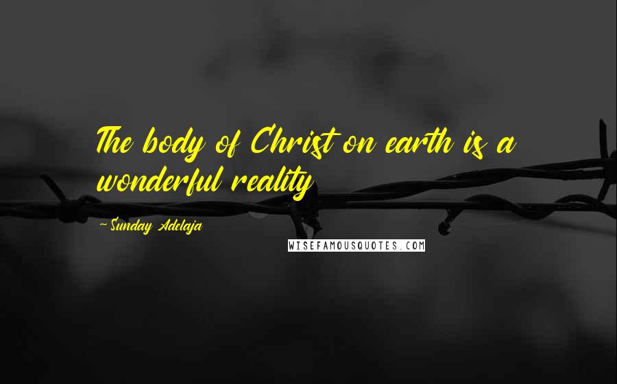 Sunday Adelaja Quotes: The body of Christ on earth is a wonderful reality