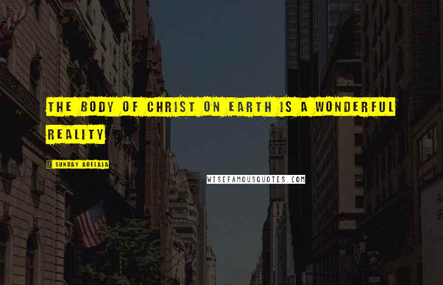 Sunday Adelaja Quotes: The body of Christ on earth is a wonderful reality