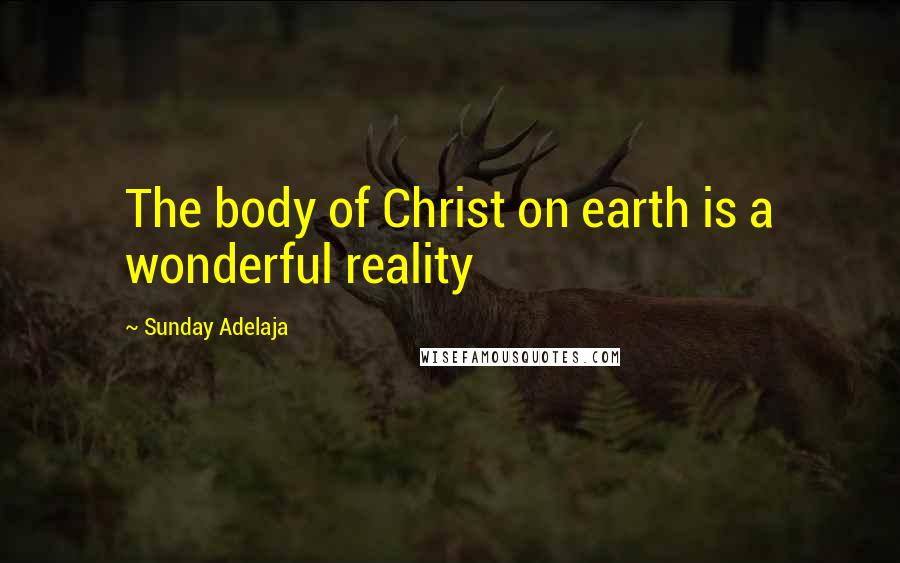 Sunday Adelaja Quotes: The body of Christ on earth is a wonderful reality