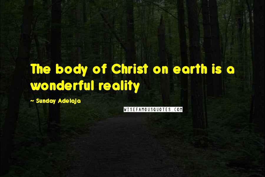 Sunday Adelaja Quotes: The body of Christ on earth is a wonderful reality