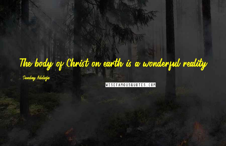 Sunday Adelaja Quotes: The body of Christ on earth is a wonderful reality