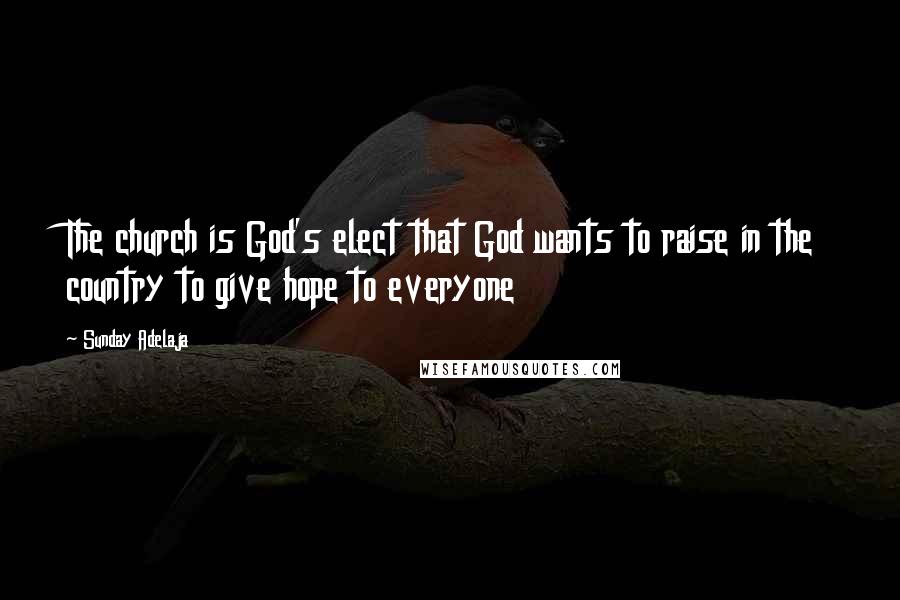 Sunday Adelaja Quotes: The church is God's elect that God wants to raise in the country to give hope to everyone