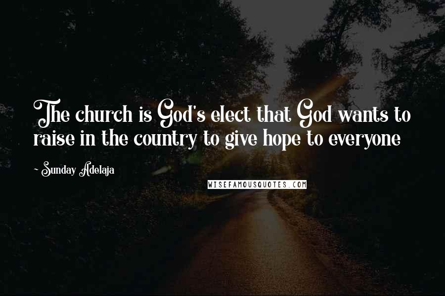 Sunday Adelaja Quotes: The church is God's elect that God wants to raise in the country to give hope to everyone