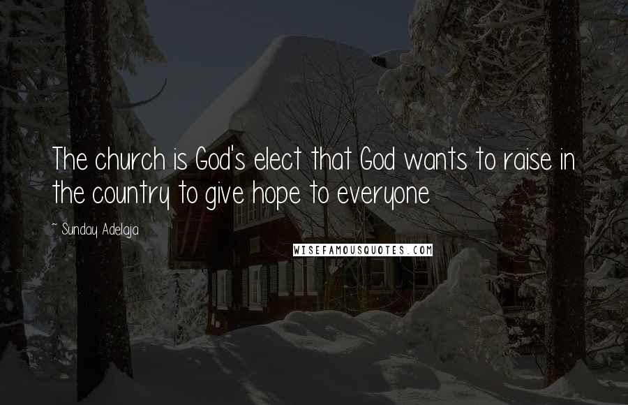 Sunday Adelaja Quotes: The church is God's elect that God wants to raise in the country to give hope to everyone