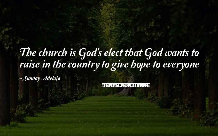 Sunday Adelaja Quotes: The church is God's elect that God wants to raise in the country to give hope to everyone