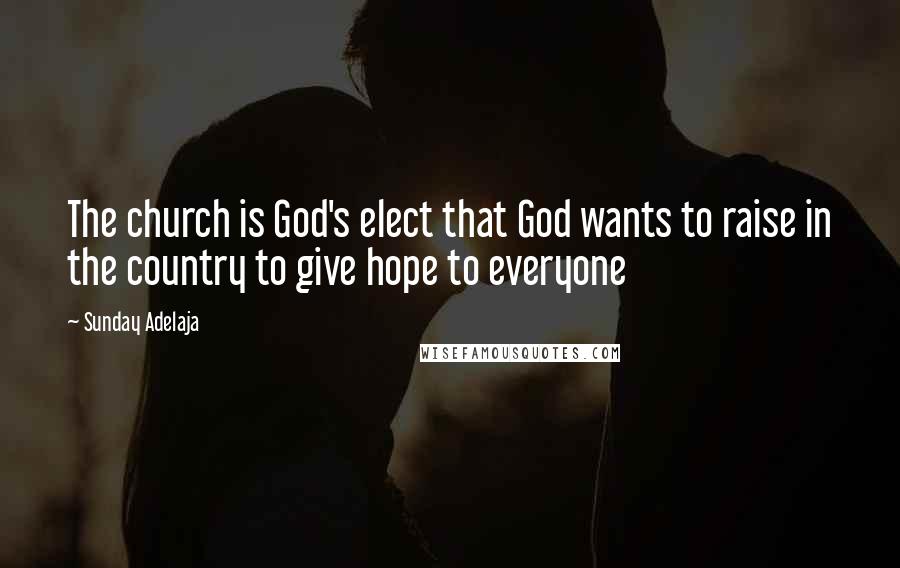 Sunday Adelaja Quotes: The church is God's elect that God wants to raise in the country to give hope to everyone