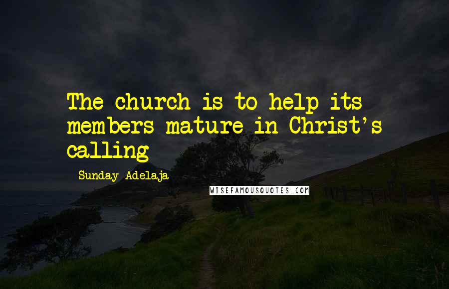 Sunday Adelaja Quotes: The church is to help its members mature in Christ's calling