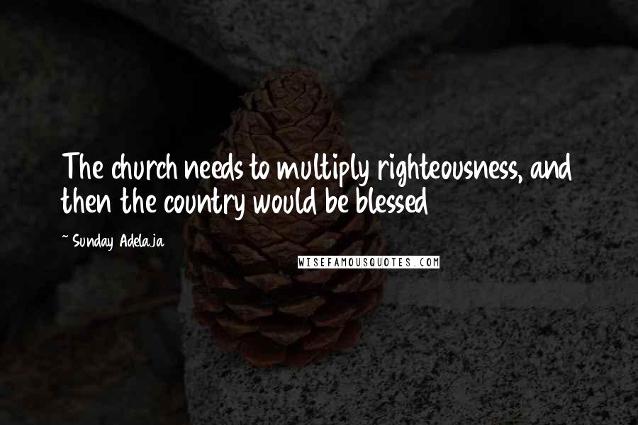 Sunday Adelaja Quotes: The church needs to multiply righteousness, and then the country would be blessed