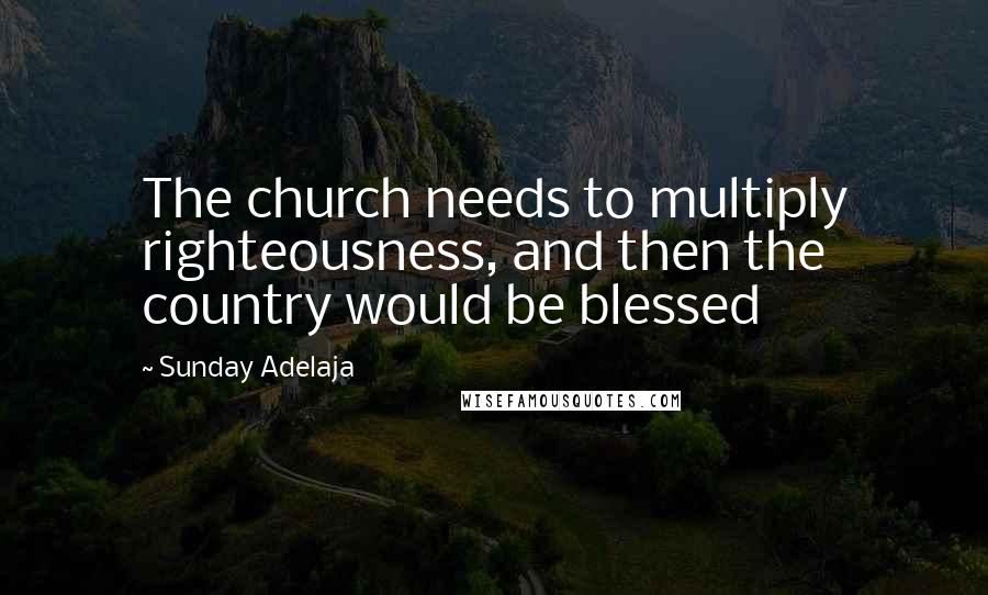 Sunday Adelaja Quotes: The church needs to multiply righteousness, and then the country would be blessed