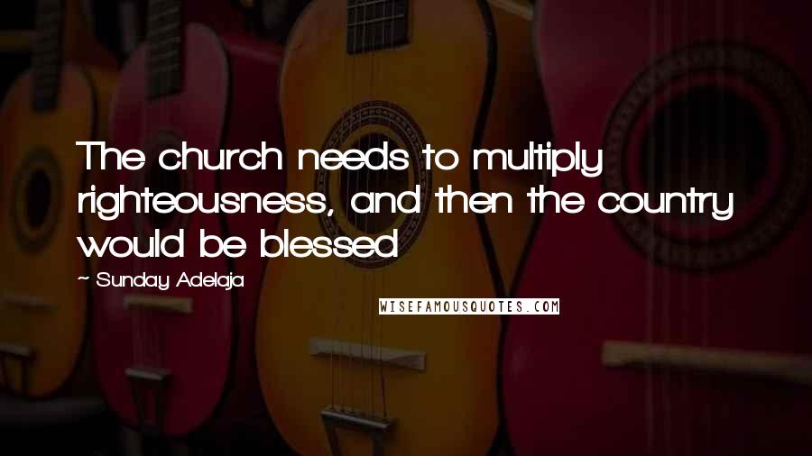 Sunday Adelaja Quotes: The church needs to multiply righteousness, and then the country would be blessed