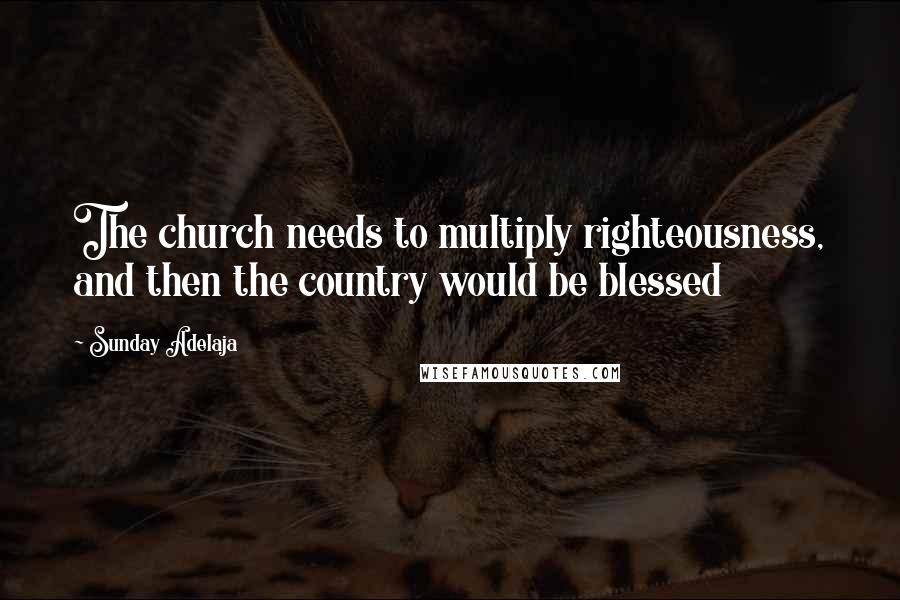 Sunday Adelaja Quotes: The church needs to multiply righteousness, and then the country would be blessed