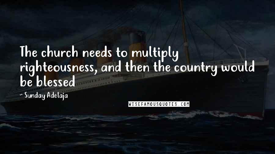 Sunday Adelaja Quotes: The church needs to multiply righteousness, and then the country would be blessed