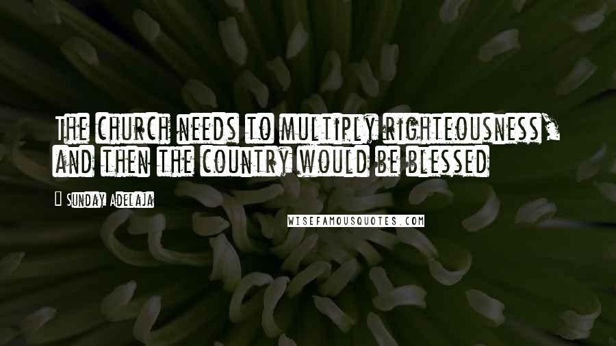 Sunday Adelaja Quotes: The church needs to multiply righteousness, and then the country would be blessed