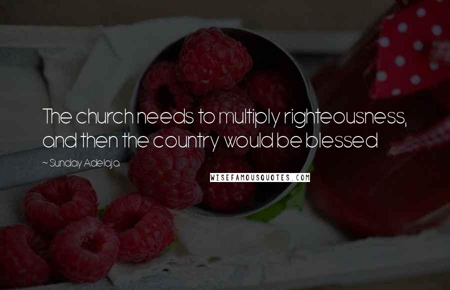 Sunday Adelaja Quotes: The church needs to multiply righteousness, and then the country would be blessed