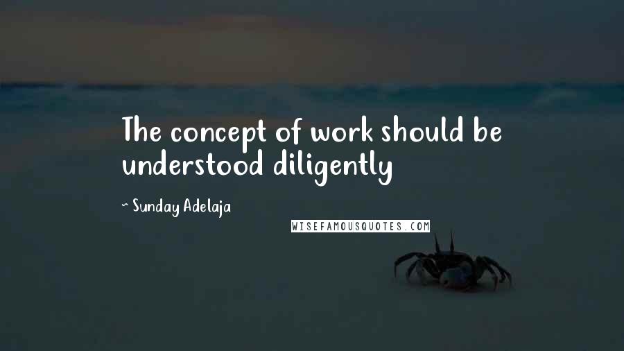 Sunday Adelaja Quotes: The concept of work should be understood diligently
