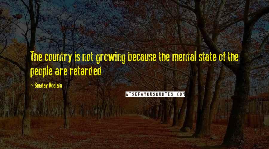 Sunday Adelaja Quotes: The country is not growing because the mental state of the people are retarded