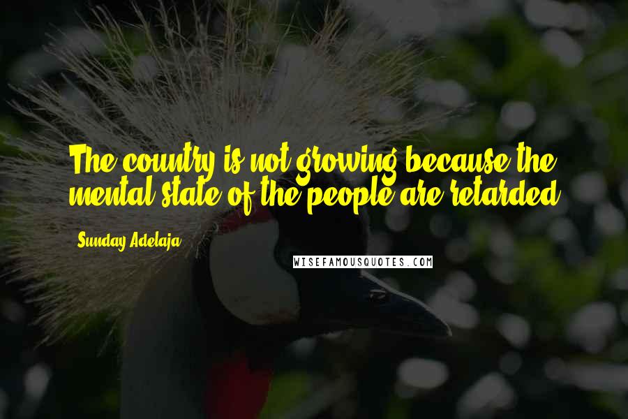 Sunday Adelaja Quotes: The country is not growing because the mental state of the people are retarded