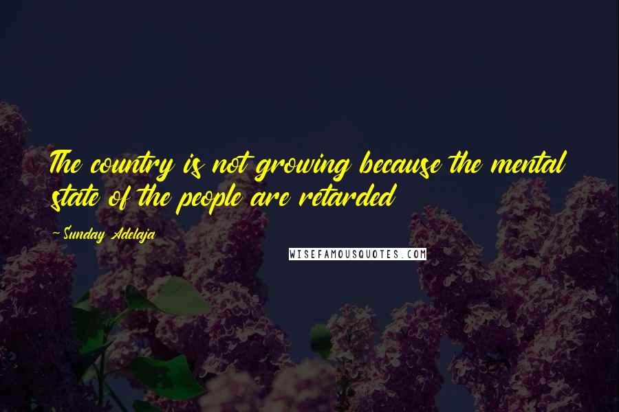 Sunday Adelaja Quotes: The country is not growing because the mental state of the people are retarded