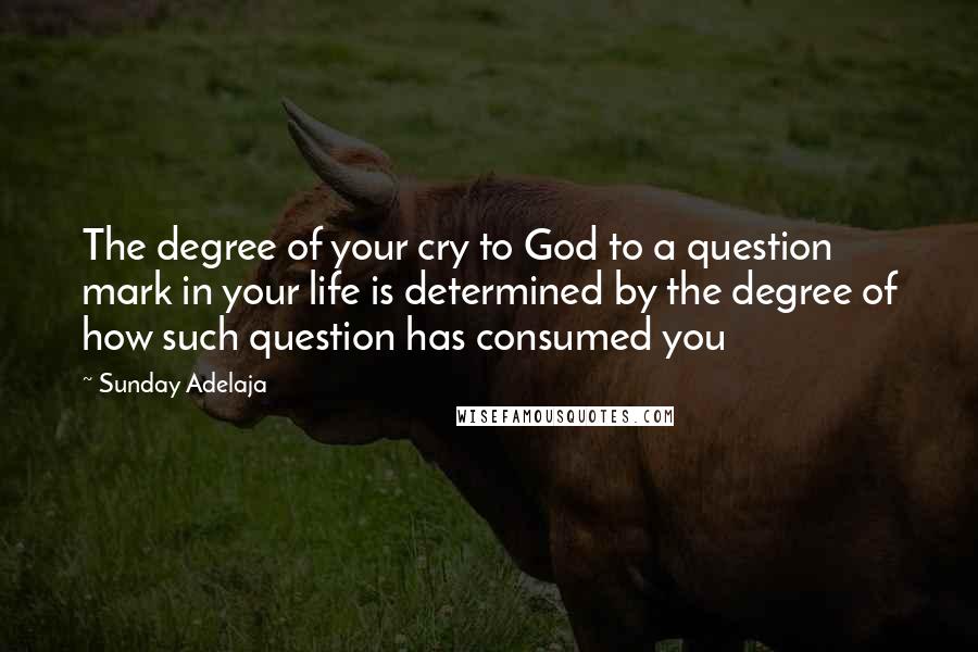 Sunday Adelaja Quotes: The degree of your cry to God to a question mark in your life is determined by the degree of how such question has consumed you