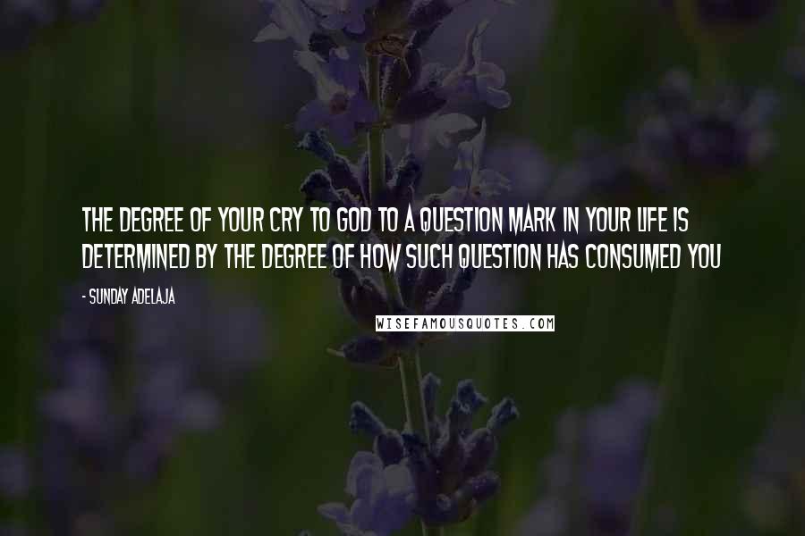 Sunday Adelaja Quotes: The degree of your cry to God to a question mark in your life is determined by the degree of how such question has consumed you