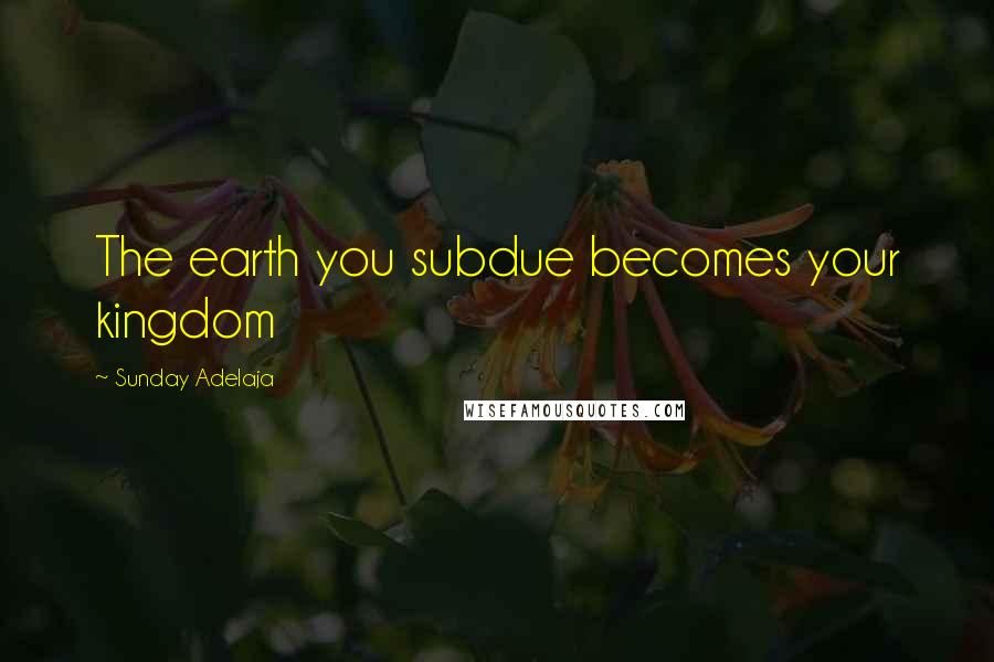 Sunday Adelaja Quotes: The earth you subdue becomes your kingdom