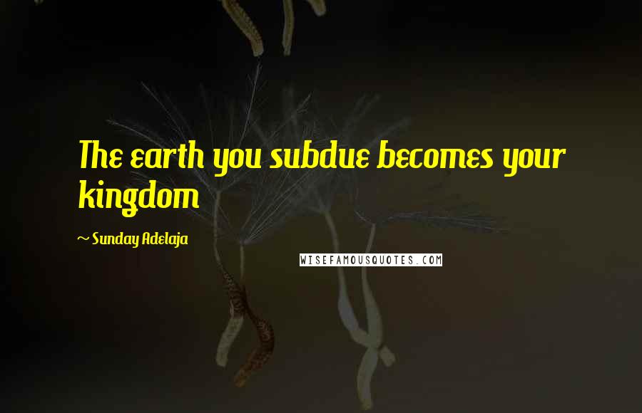 Sunday Adelaja Quotes: The earth you subdue becomes your kingdom