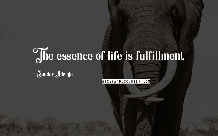 Sunday Adelaja Quotes: The essence of life is fulfillment