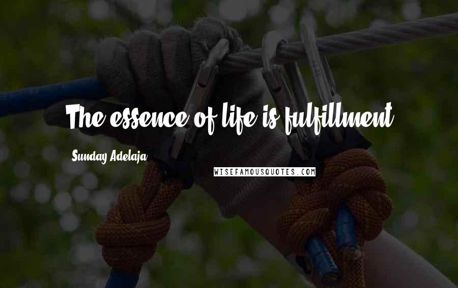 Sunday Adelaja Quotes: The essence of life is fulfillment