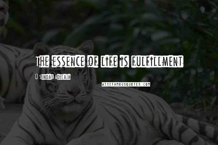 Sunday Adelaja Quotes: The essence of life is fulfillment